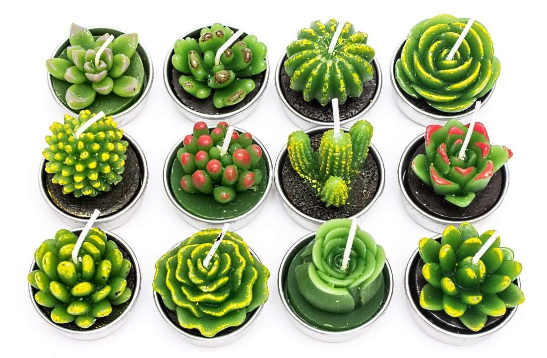 piccoli cactus candele decorative aspie asperger spettro autistico