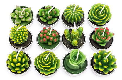 piccoli cactus candele decorative aspie asperger spettro autistico