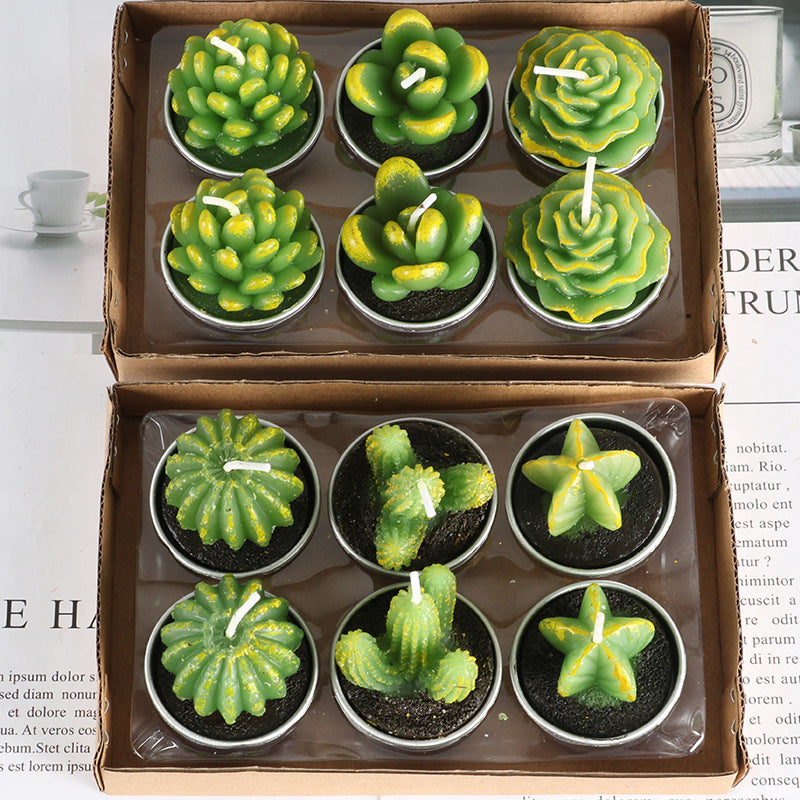 piccoli cactus candele decorative aspie asperger spettro autistico