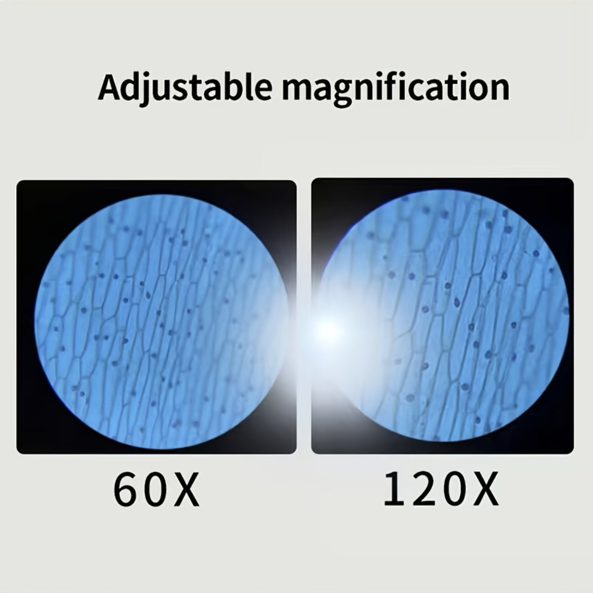 Microscopio tascabile con luce LED ingrandimento 60-120X per bambini adhd aspie shop neurodivergenti neurodivergenza ADHD autism dyspraxia dyslexia spectrum neurodiversity neurodiverse conditions Tourette down dyscalculia Irlen