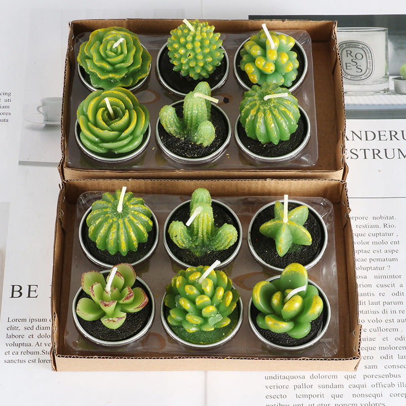 piccoli cactus candele decorative aspie asperger spettro autistico